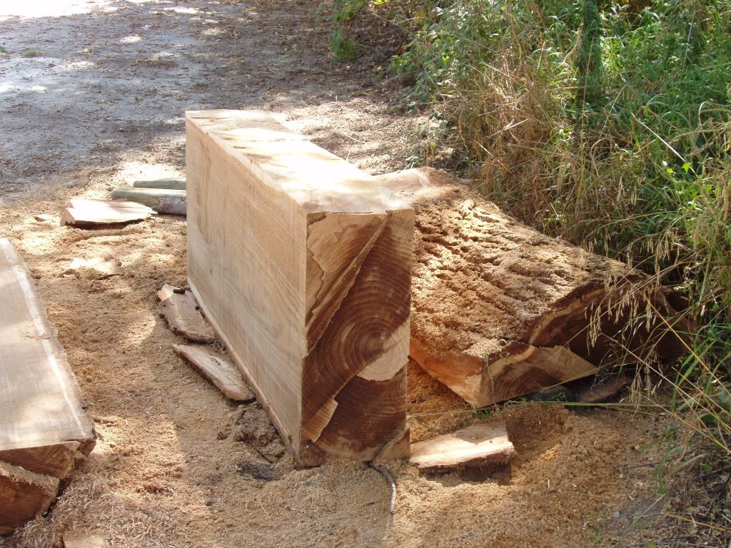 Milling a hunk of chinese elm